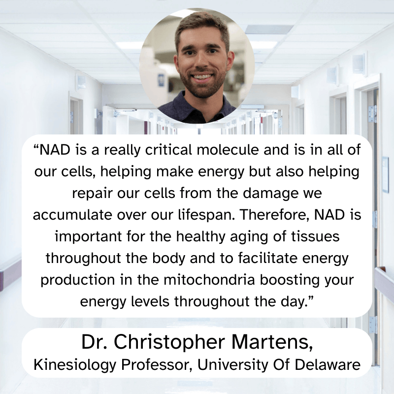 NAD+ Catakor - Focus & Energy