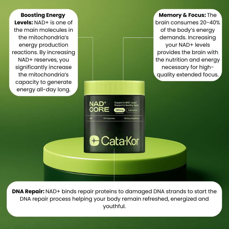 NAD+ Catakor - Focus & Energy