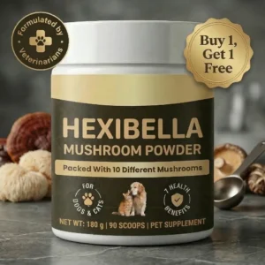 Mushroom Powder For Pets